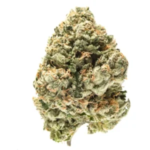 Guava