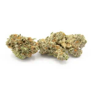 Bubblegum Gelato