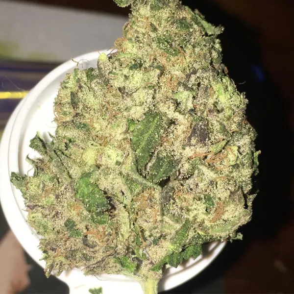 99 problems flower by growhealthy strain review by indicadam