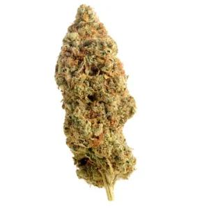 Amnesia Haze