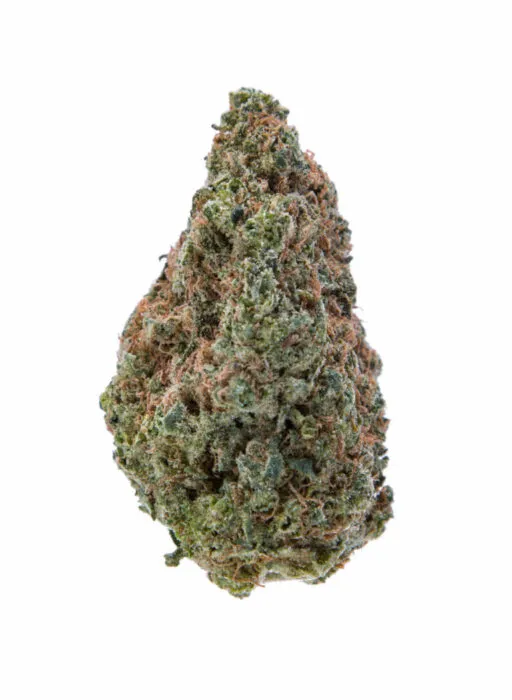 Acapulco Gold e1643658849577