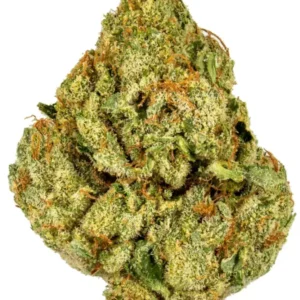 Big Bud