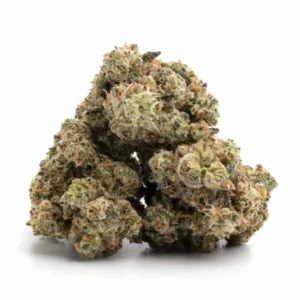 Godzilla Glue