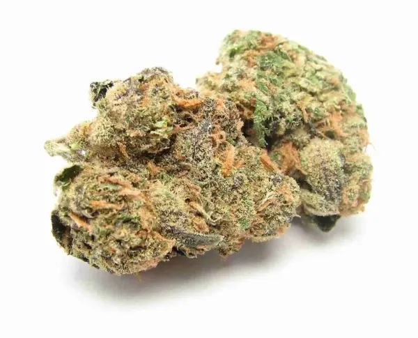 BubbleGum