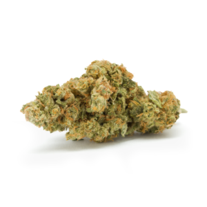 Chocolope