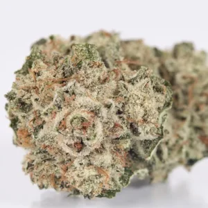 Gorilla Glue Strain