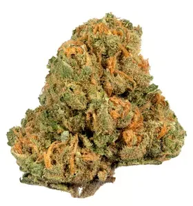 JACK HERER STRAIN