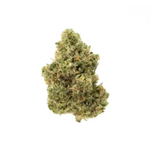 Lemon G