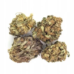 Critical Kush