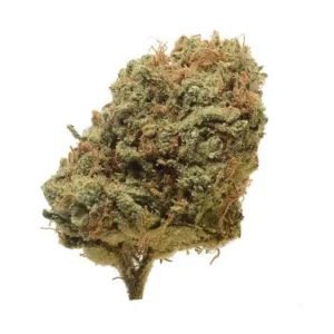 Critical Mass