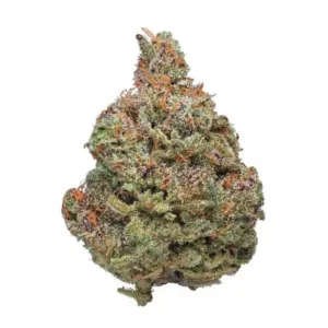 Black Afghan