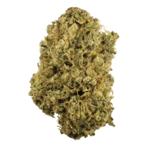 DURBAN POISON