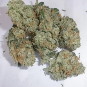 Cannalope Haze