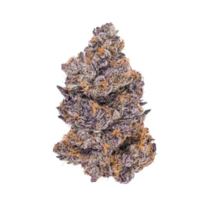 Cherry Jealousy Strain