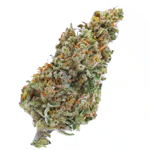 sativa 1802756362