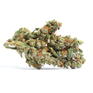 Cheesecake strain