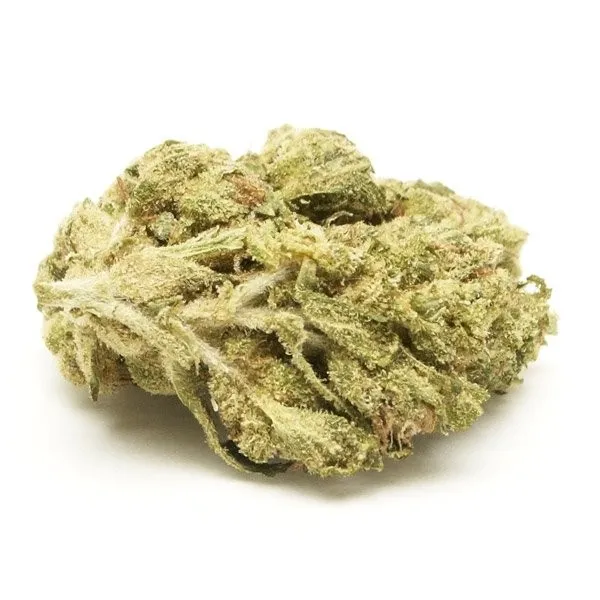 white berry